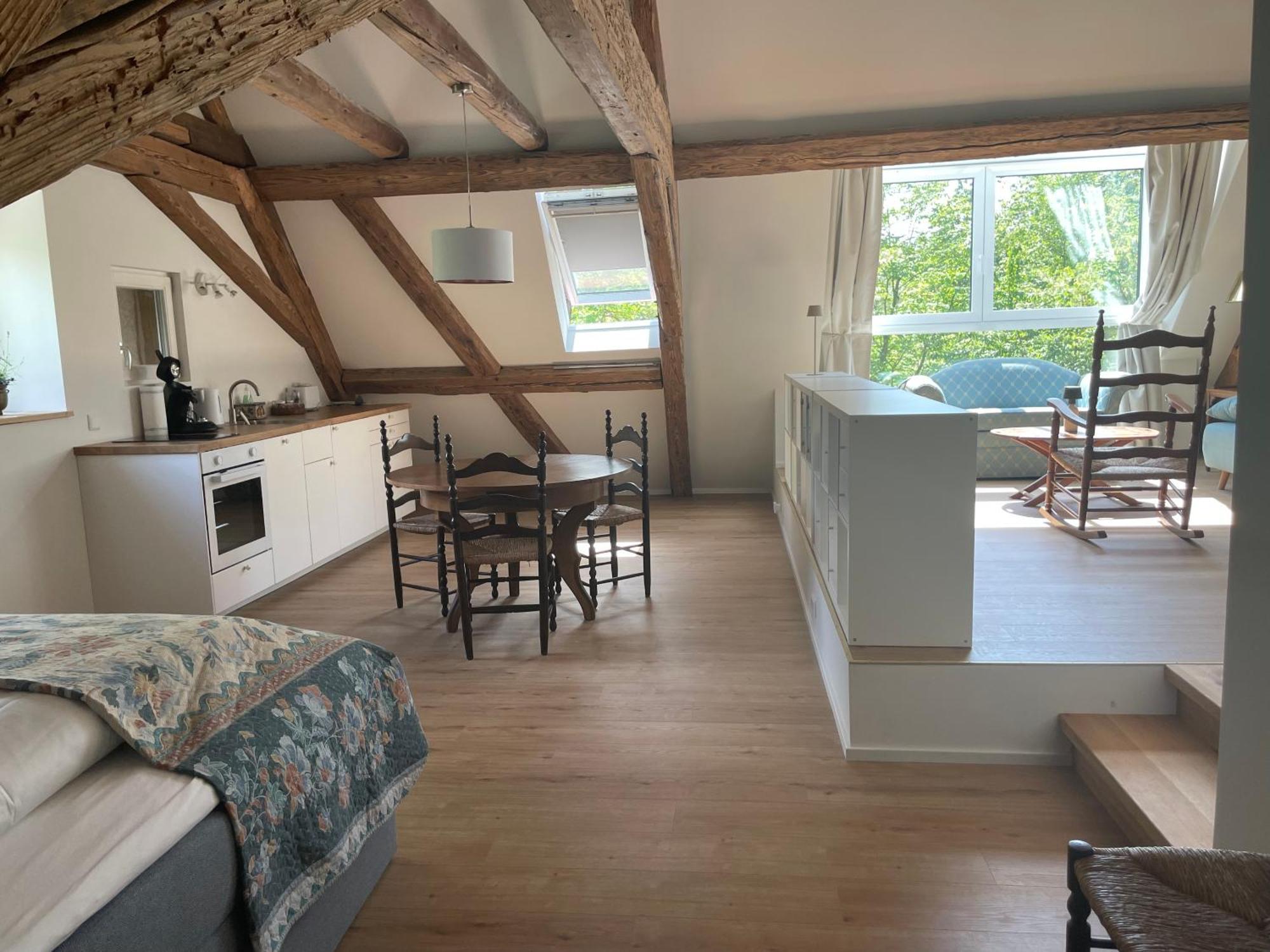 Döttingen Historische Muehle Von Cramm, 6 Apartments מראה חיצוני תמונה